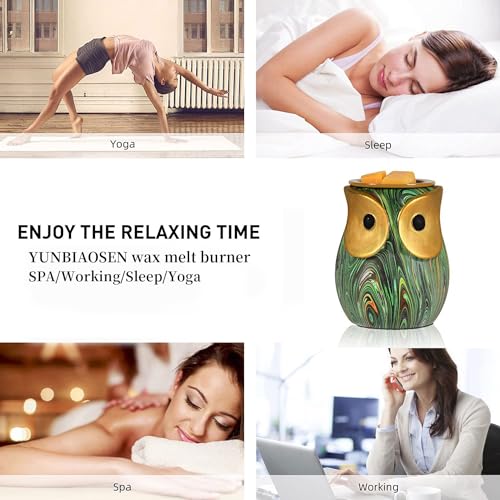 Owl Wax Melt Warmer Electric, Scented Wax Burner, Candle Warmer F8578