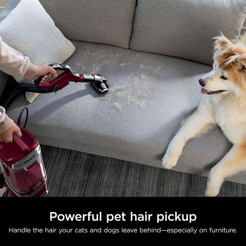 Upright Vacuum Cleaner for Home, Bagless, HEPA Filter Q241