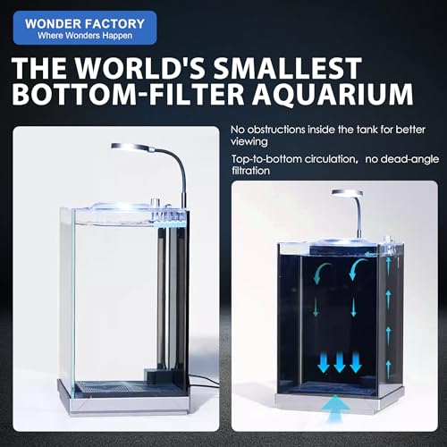 1.5 Gallon All-in-One Starter Kit with Float Glass Tank, Filter, Light, Rocks, Gravel, Plants W9312