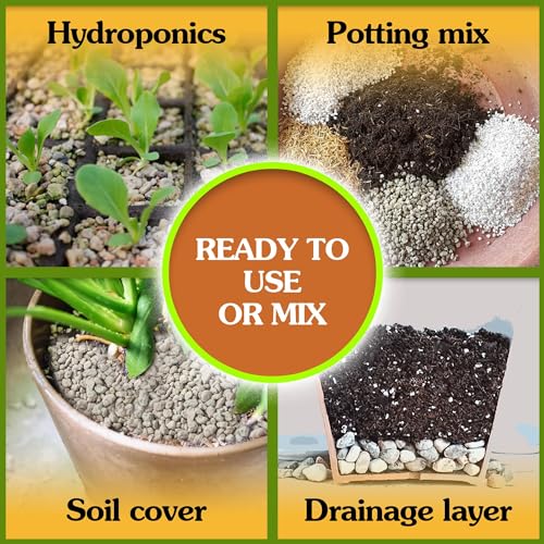 Horticultural Pumice for Plants Indoor, Soil Additive for Bonsai, Succulent, Cactus, 1/4" - 3/8", 2 QT N60482