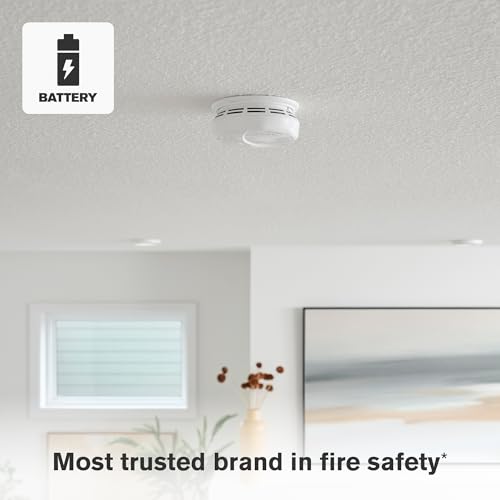 Battery Powered Smoke Detector & Carbon Monoxide Alarm N936294