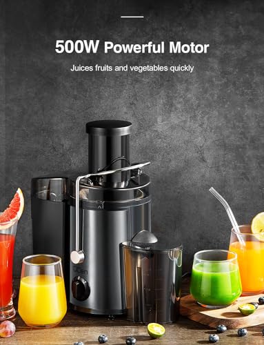 Juicer Machine, 800W Centrifugal Extractor with Wide Mouth Feed Chute, Stainless Steel, BPA-free V753