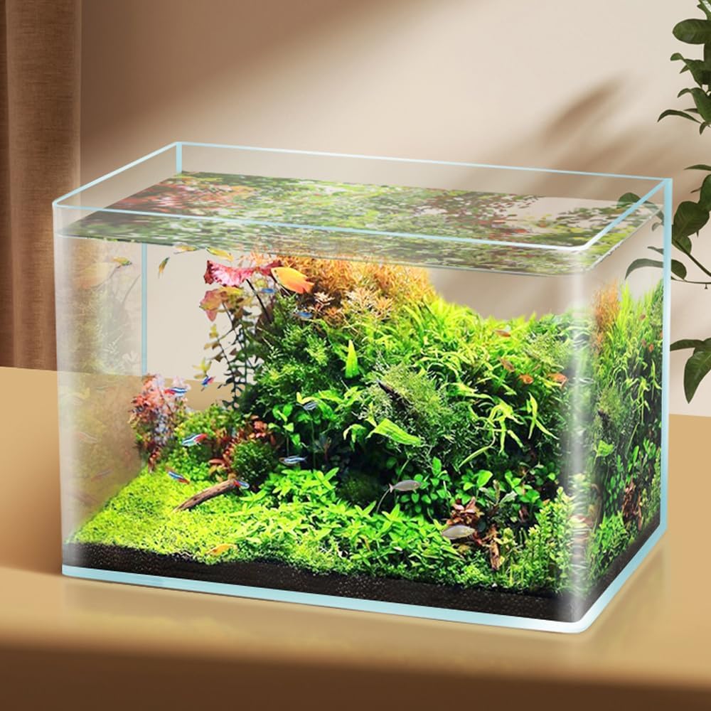 2 Pack 4 & 2 Gallon Rimless Aquarium Tank for Betta, Nano, Goldfish, Snail, Shrimp B97874