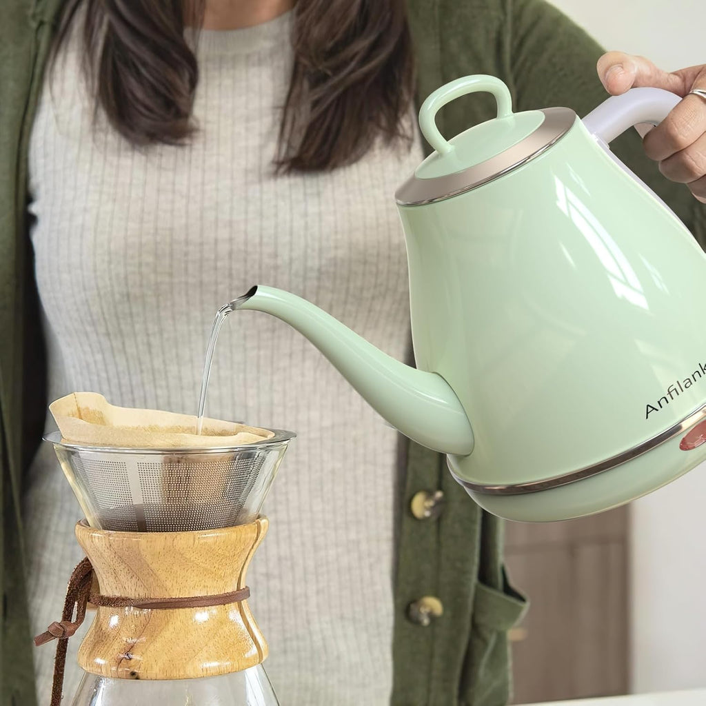 Gooseneck Electric Kettle, 1L Stainless Steel, Auto Shut-Off D458