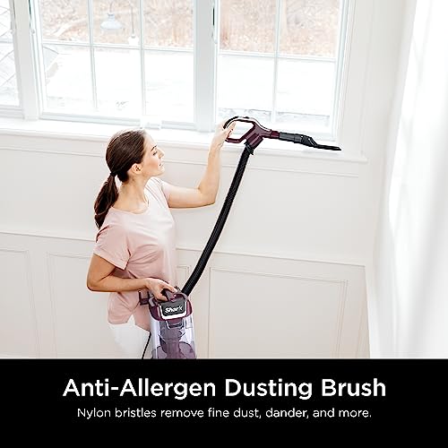 Upright Vacuum Cleaner for Home, Bagless, HEPA Filter Q241