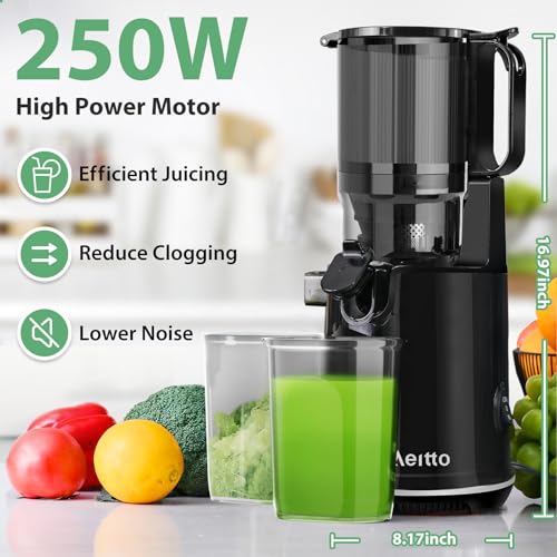 Cold Press Juicer with Extra Large Feed Chute for Whole Fruits and Vegetables V899