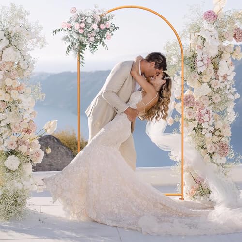 Metal Arch Backdrop Stand for Party Wedding Decoration N268647