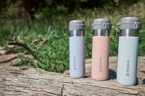 Insulated Stainless Steel Water Bottle 36 oz with Push Button Lid A883