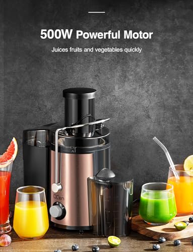 Juicer Machine, 800W Centrifugal Extractor with Wide Mouth Feed Chute, Stainless Steel, BPA-free V753