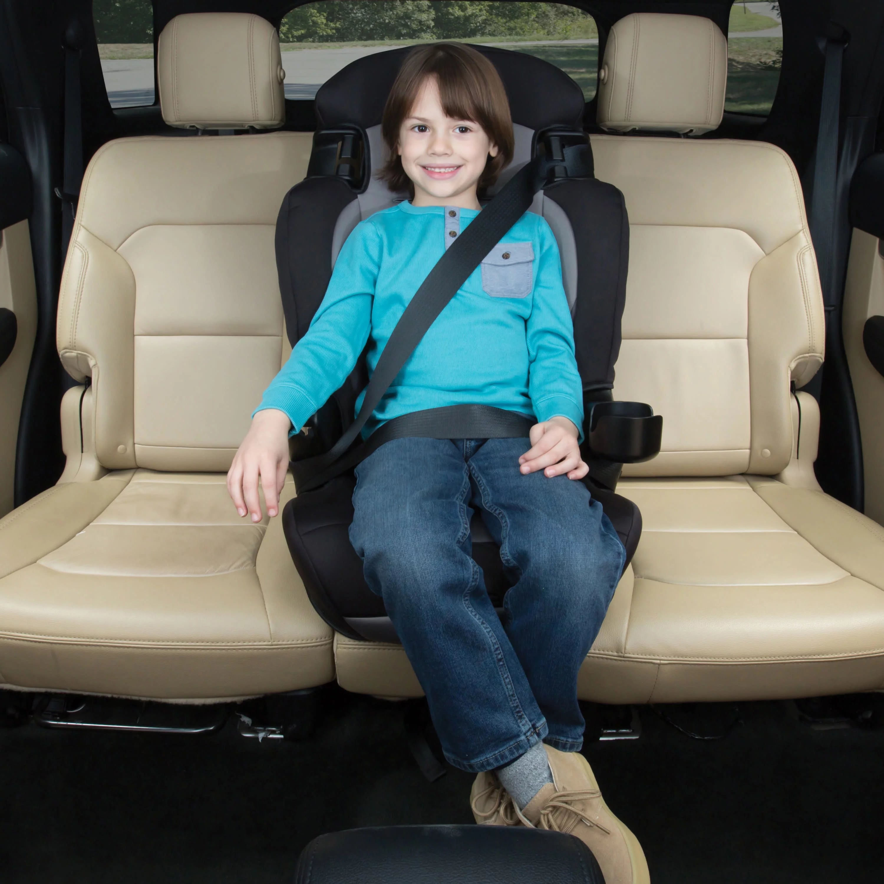 2-in-1 Booster Car Seat, Sweetberry G3872