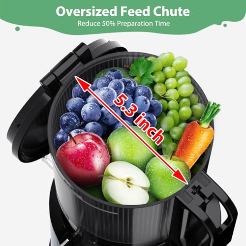 Cold Press Juicer with Extra Large Feed Chute for Whole Fruits and Vegetables V899