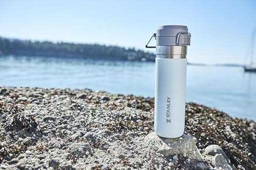 Insulated Stainless Steel Water Bottle 36 oz with Push Button Lid A883