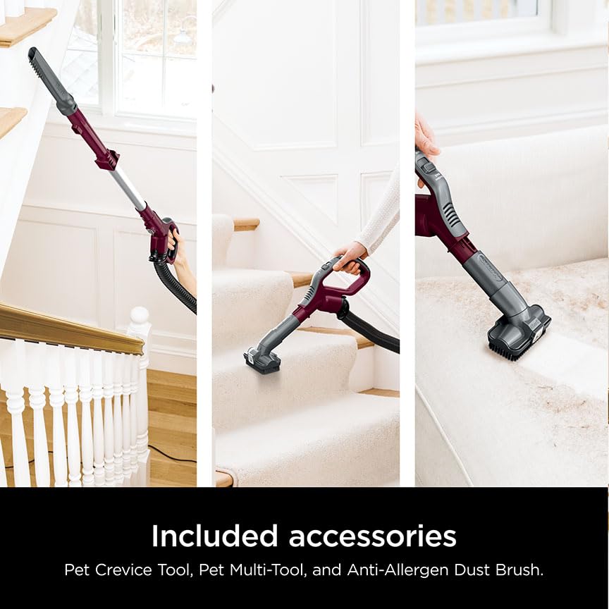 Upright Vacuum Cleaner for Home, Bagless, HEPA Filter Q241