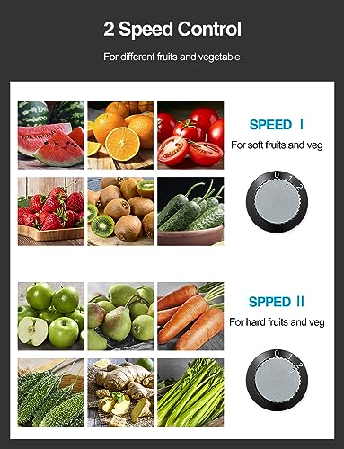 Juicer Machine, 800W Centrifugal Extractor with Wide Mouth Feed Chute, Stainless Steel, BPA-free V753
