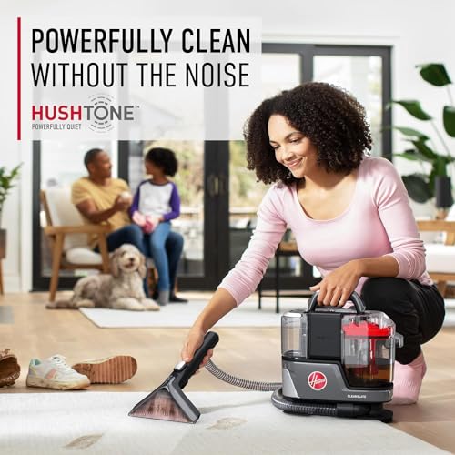 Portable Carpet and Upholstery Spot Cleaner Machine R8434