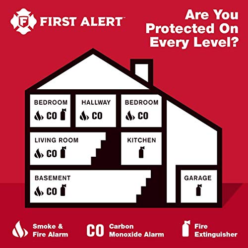 Battery Powered Smoke Detector & Carbon Monoxide Alarm N936294