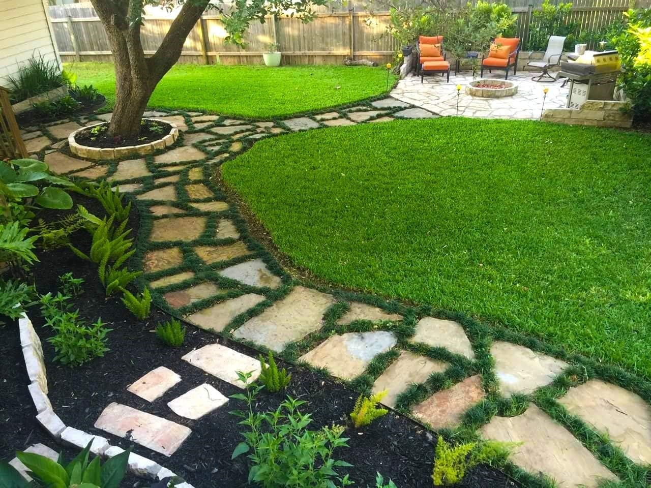 Dwarf Mondo Grass 40 Live Plants Shade Loving Evergreen Ground Cover K846223