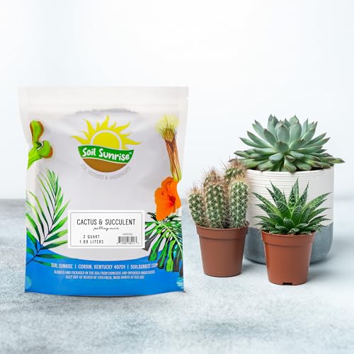 Cactus and Succulent Potting Mix, Fast Draining E2074