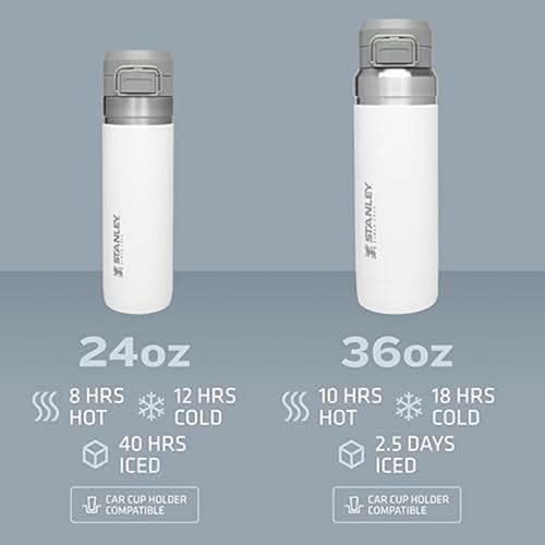Insulated Stainless Steel Water Bottle 36 oz with Push Button Lid A883