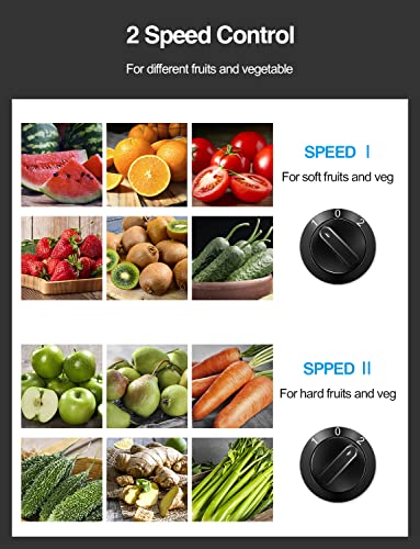Juicer Machine, 800W Centrifugal Extractor with Wide Mouth Feed Chute, Stainless Steel, BPA-free V753
