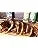 6 Pack Pourable Marinade Bundle - Chicken, Steakhouse, Pork, Burger, Wildgame, Seafood O44481