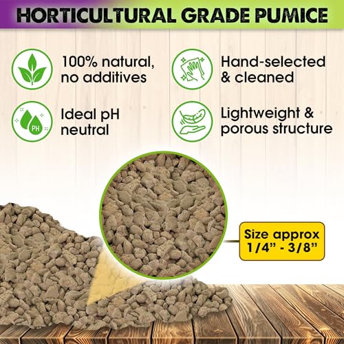 Horticultural Pumice for Plants Indoor, Soil Additive for Bonsai, Succulent, Cactus, 1/4" - 3/8", 2 QT N60482