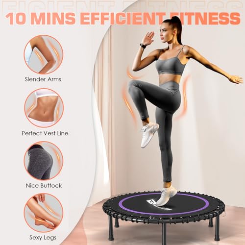 Foldable Mini Trampoline for Adults with Durable Bungees V5441