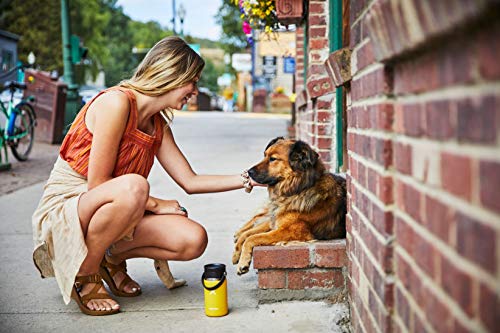 Stainless Steel Vacuum Insulated Water Bottle O8864