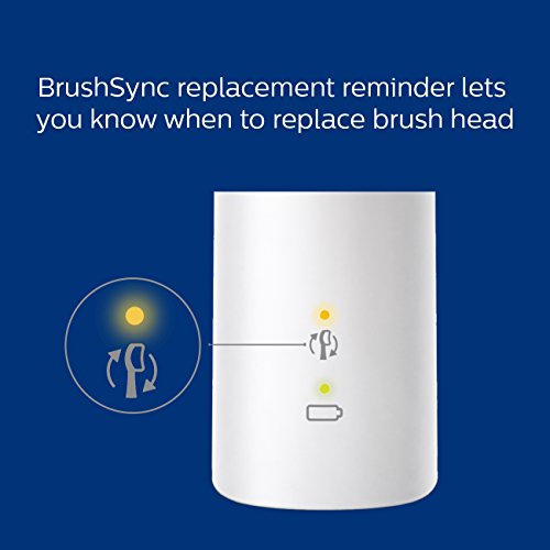 Rechargeable Electric Power Toothbrush Q6866