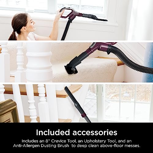 Upright Vacuum Cleaner for Home, Bagless, HEPA Filter Q241