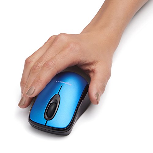 Wireless Optical Mouse with USB Nano Receiver, Black B899