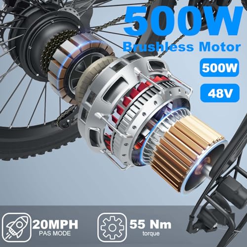Electric Bike for Adults, 500W Motor, 48V Battery, 55 Miles Range V810199