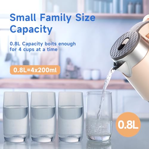 Portable Electric Tea Kettle, 0.8L Stainless Steel M263