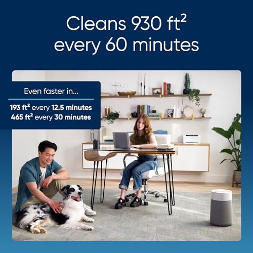 Air Purifier for Small Room, Bedroom, Home, 926 sqft, HEPASilent for Pets, Allergens, Dust, Mold, Smoke K34925