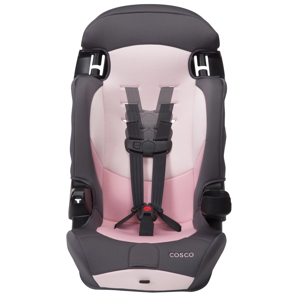 2-in-1 Booster Car Seat, Sweetberry G3872