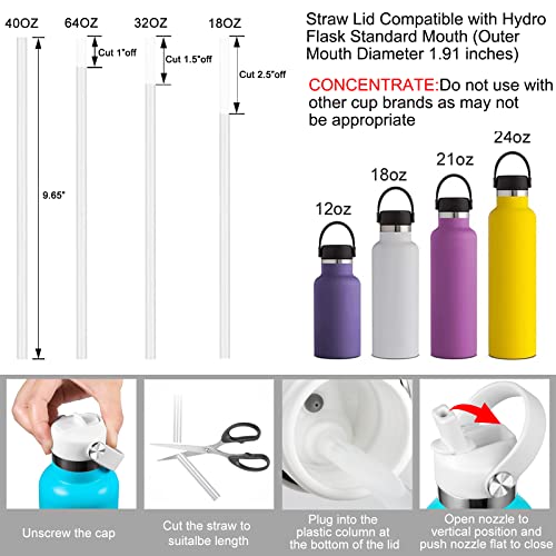 Straw Lid Replacement for Standard Mouth Water Bottles T96688