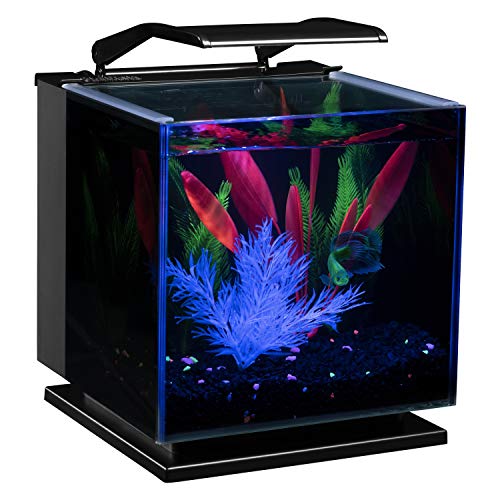 Betta Shadowbox Aquarium Kit N541329