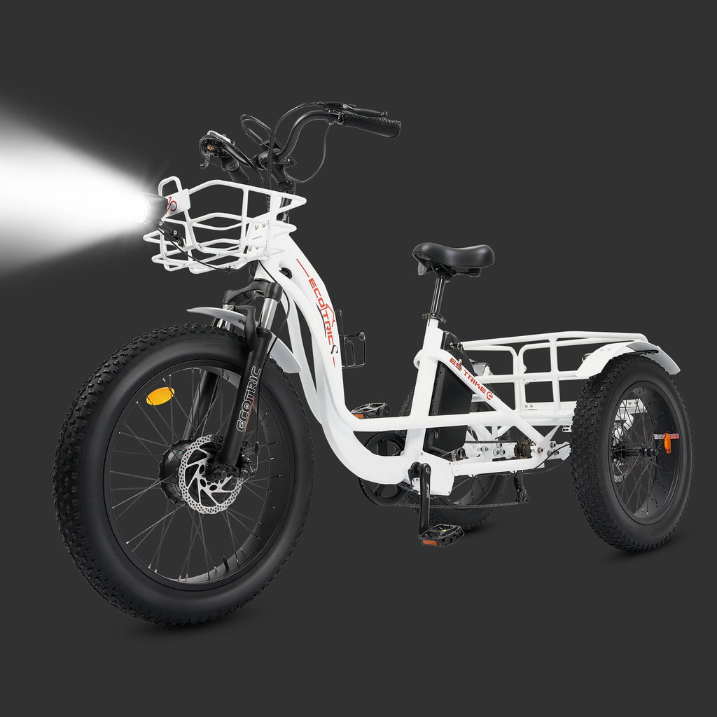 Electric Tricycle for Adults with Basket, 750W 48V, Step-Thru 3-Wheel S34565