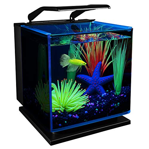 GloFish Betta Shadowbox Aquarium Kit