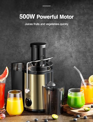 Juicer Machine, 800W Centrifugal Extractor with Wide Mouth Feed Chute, Stainless Steel, BPA-free V753