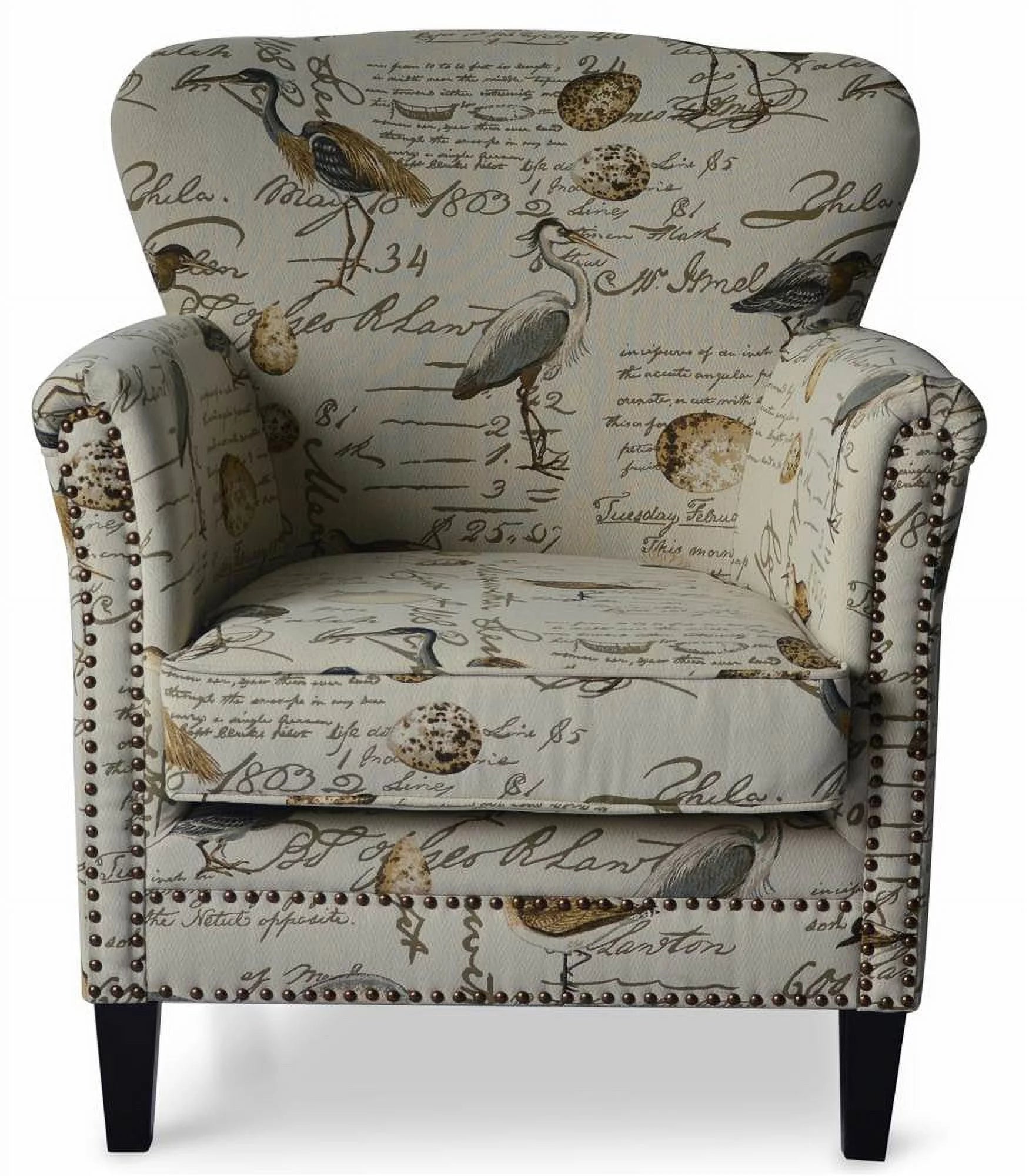 Accent Chair with Nailhead Trim Z6756
