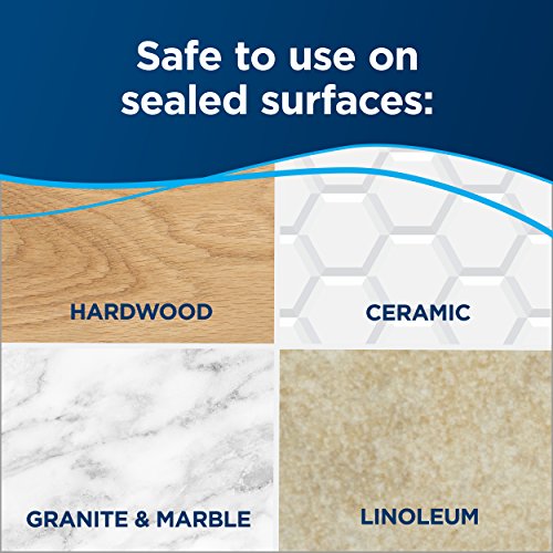 Steam Mop with Natural Sanitization for Tile and Hardwood Floors E88900