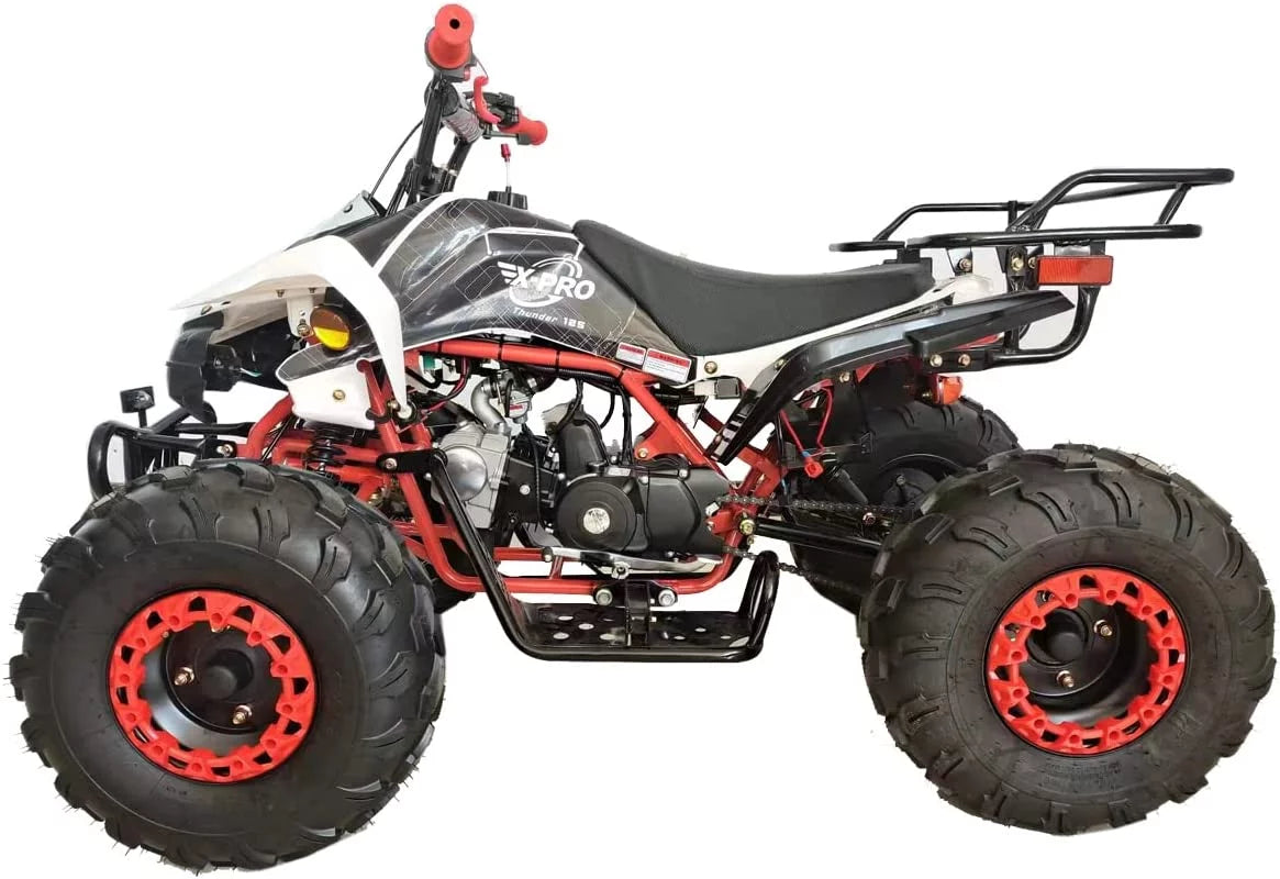 125cc Gas ATV Automatic Transmission with Reverse M195
