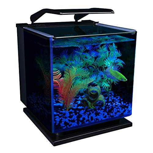 Betta Shadowbox Aquarium Kit N541329