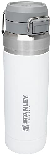 Insulated Stainless Steel Water Bottle 36 oz with Push Button Lid A883