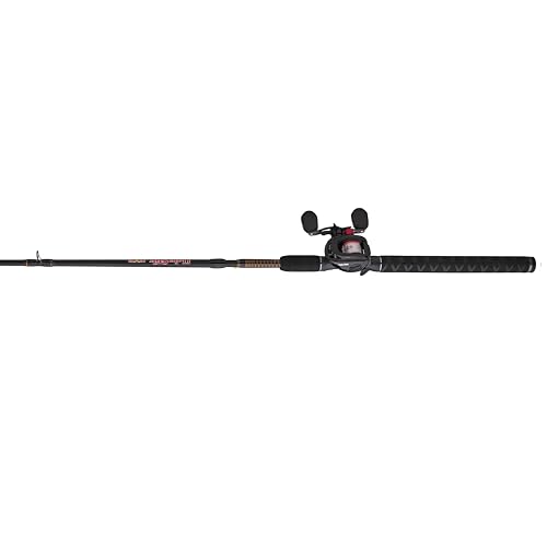 Baitcast Reel and Fishing Rod Combo L972356