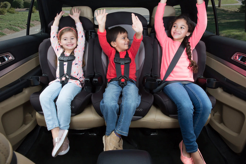 2-in-1 Booster Car Seat, Sweetberry G3872