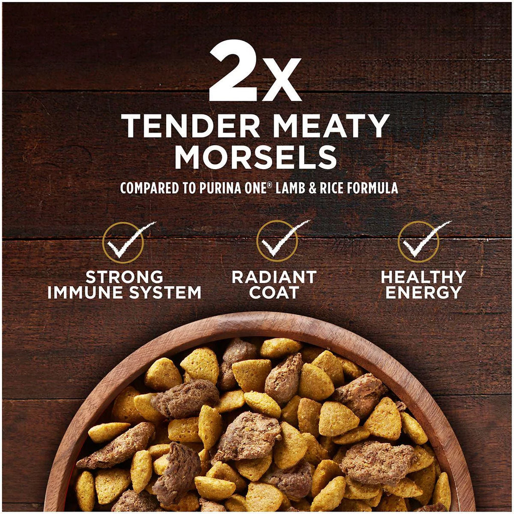 Adult Dry Dog Food Turkey and Venison Recipe B503