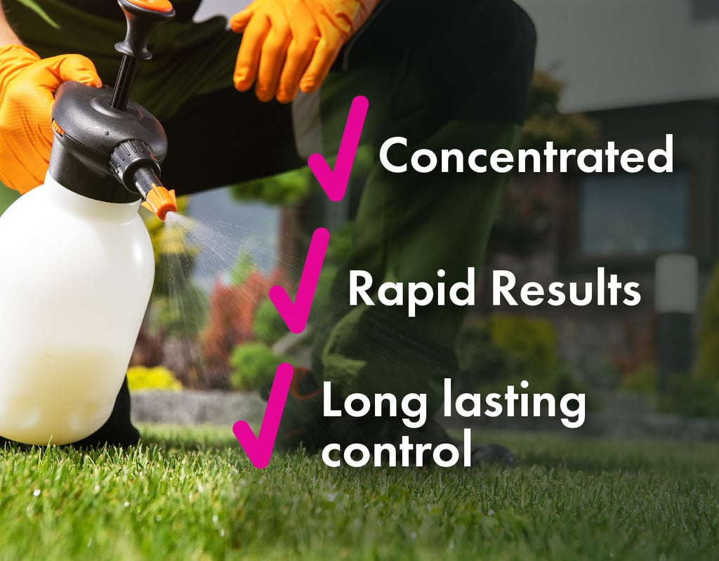 Crabgrass & Grassy Weed Killer Concentrate, 64 oz Y5176