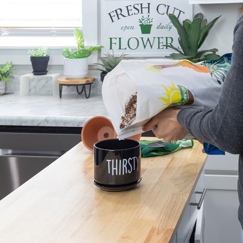 Cactus and Succulent Potting Mix, Fast Draining E2074